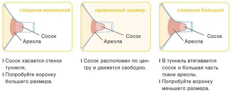 Фото Размеров Сосков