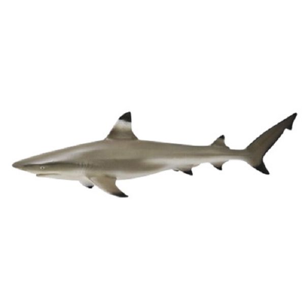 Фигурка Collecta Рифовая акула 88726b