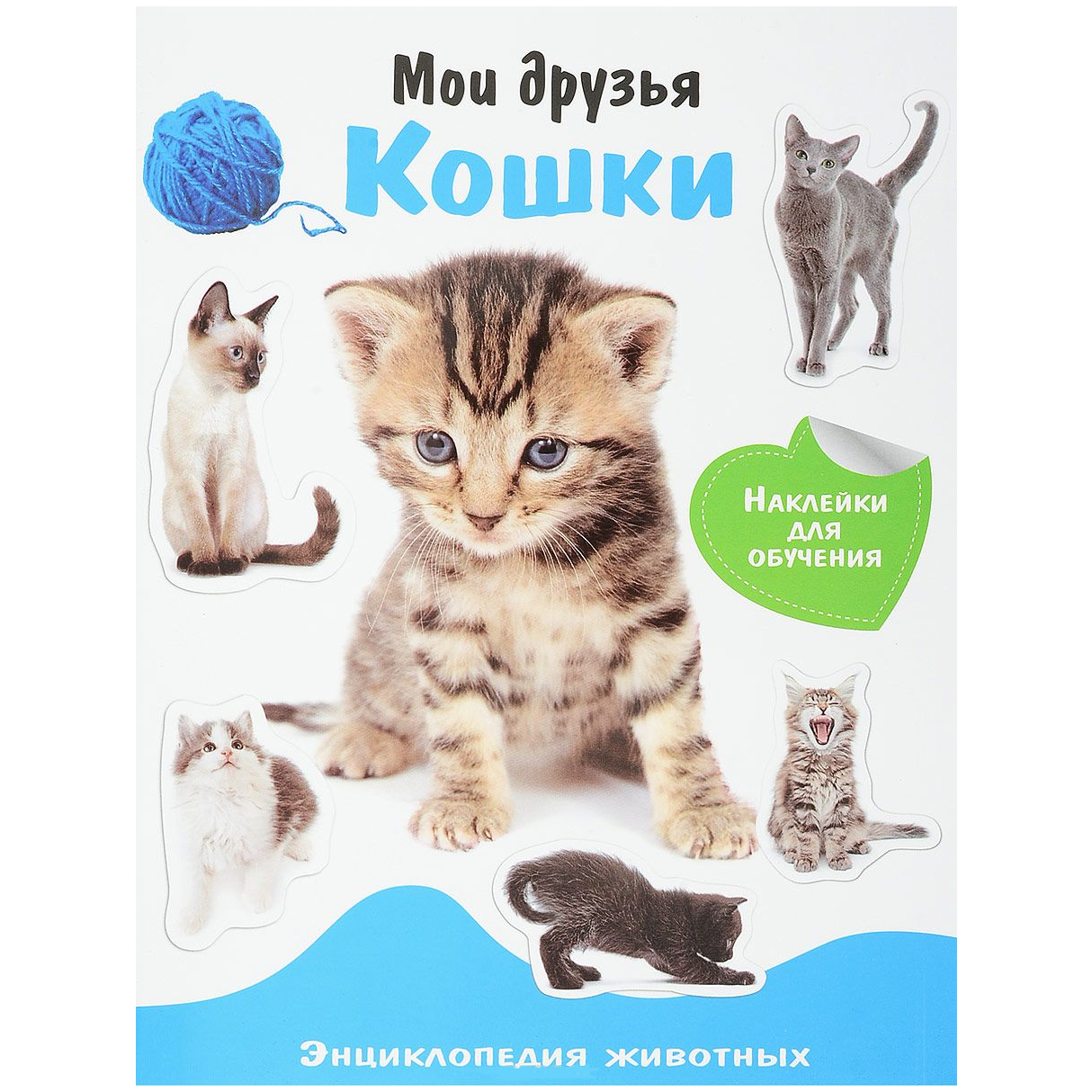 Энциклопедия животных с наклейками: Мои друзья - кошки