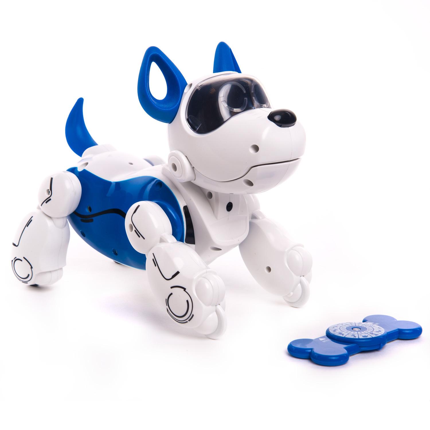 Робот-собака Pup Bo