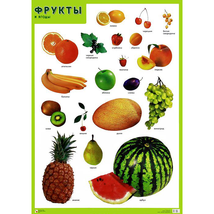 Плакат Фрукты и ягоды